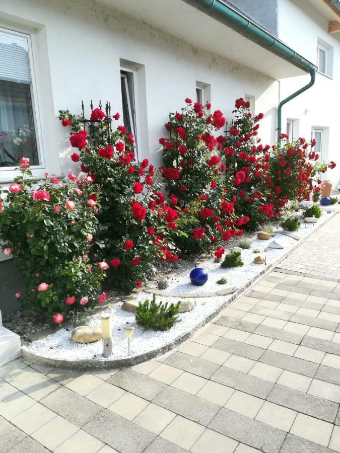 Gaestezimmer Resi Homestay Illmitz